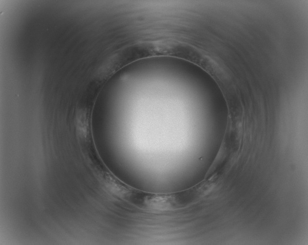 X0000070860129200606191326