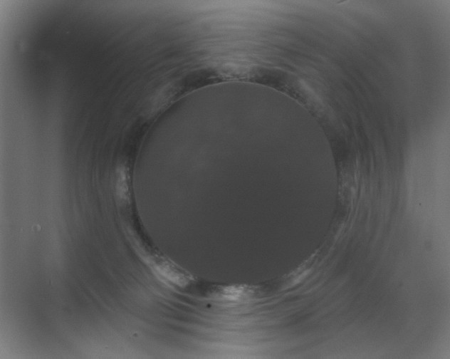 X0000070860130200606191326