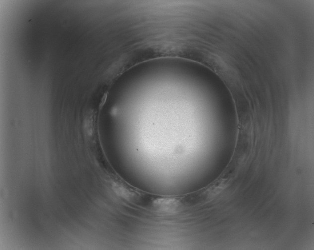 X0000070860133200606191326