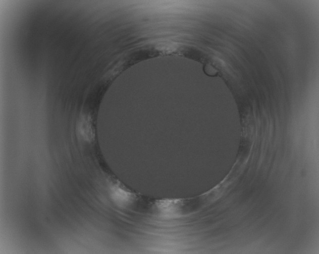 X0000070860136200606191326