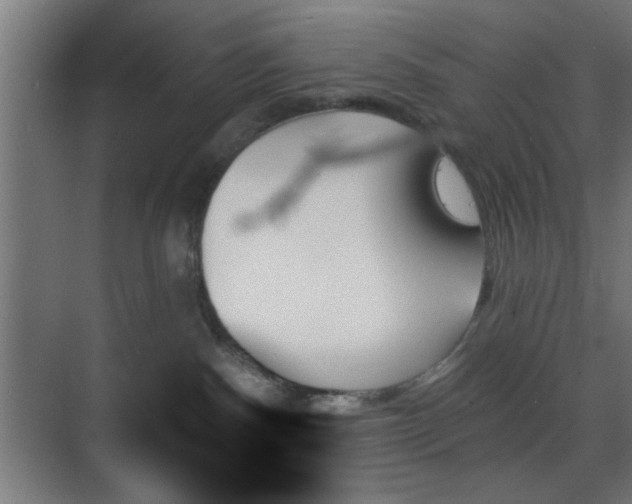 X0000070860140200606191326