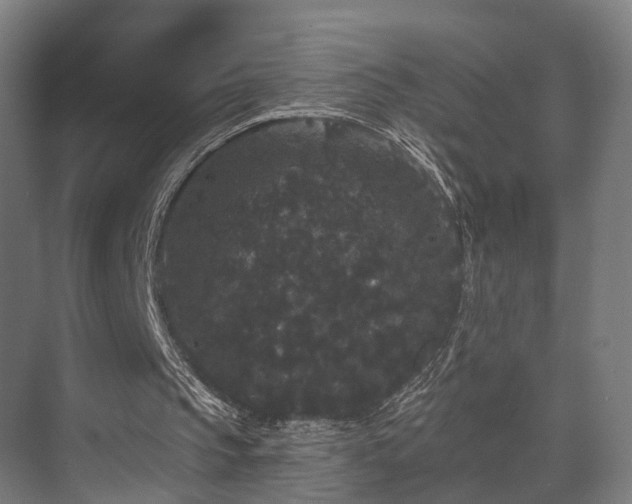 X0000070860145200606191325