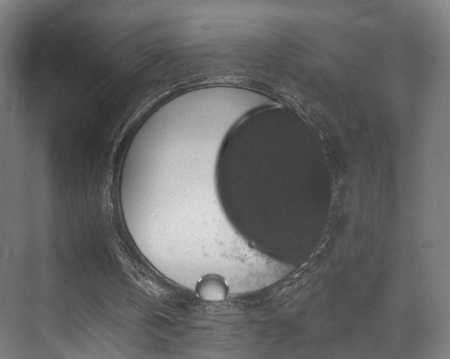 X0000070860146200606191325