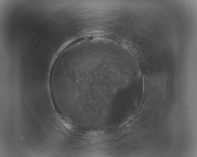 X0000070860147200606191325