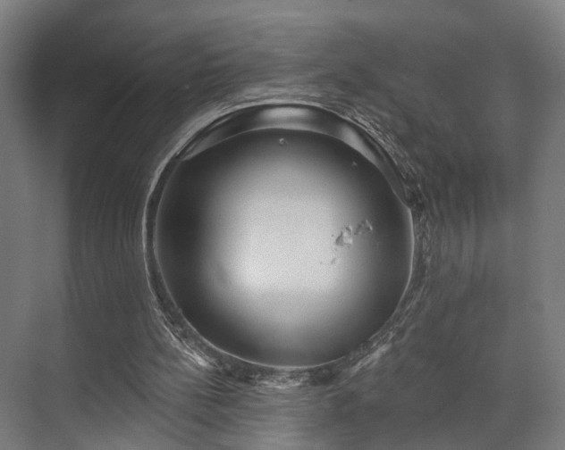 X0000070860148200606191325