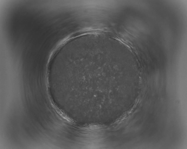 X0000070860149200606191325