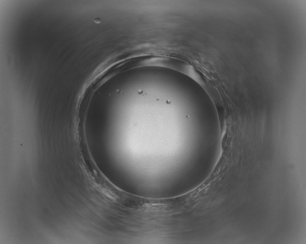 X0000070860150200606191325