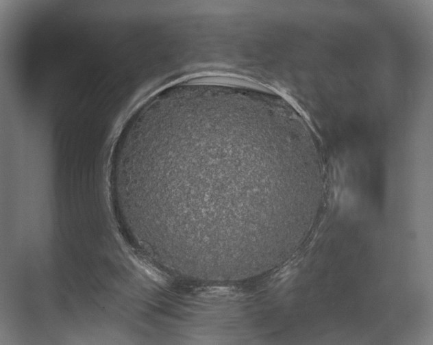 X0000070860151200606191325