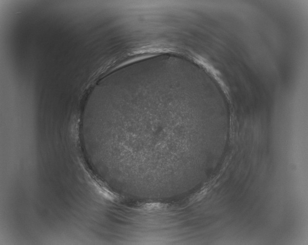 X0000070860153200606191325