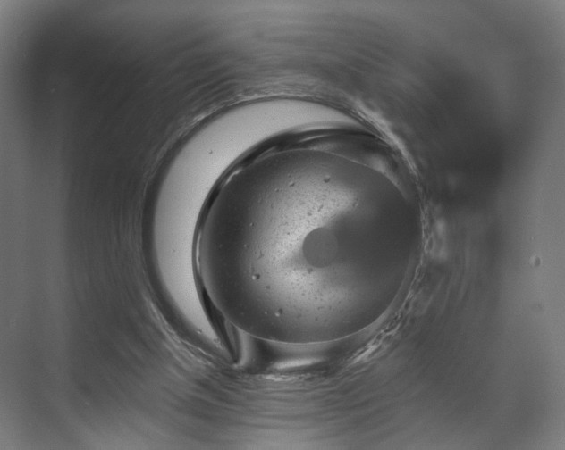 X0000070860154200606191325