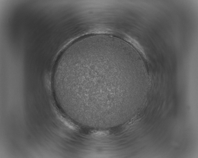 X0000070860155200606191325