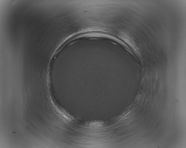 X0000070860156200606191325