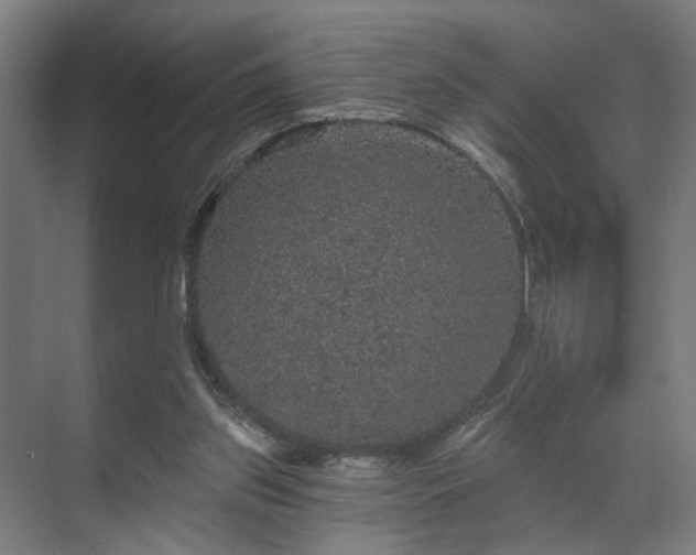 X0000070860157200606191325