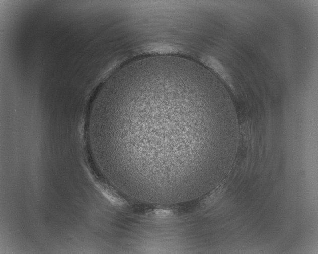 X0000070860159200606191325