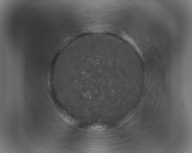 X0000070860161200606191325