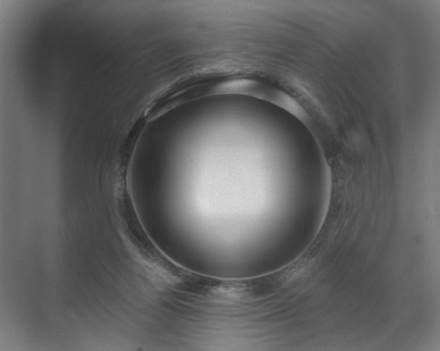 X0000070860164200606191325