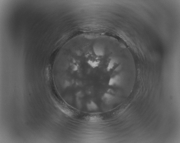 X0000070860165200606191326