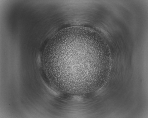 X0000070860166200606191326