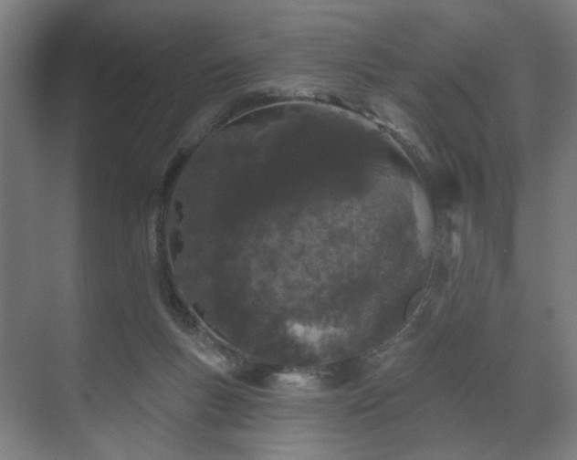 X0000070860167200606191326