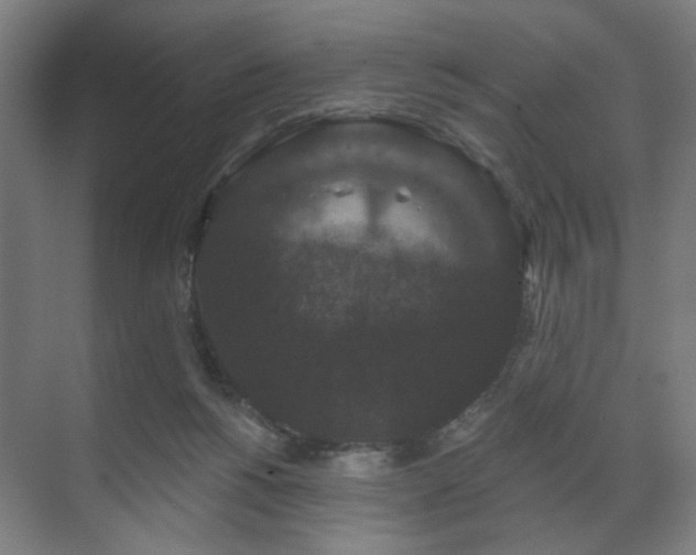 X0000070860168200606191326