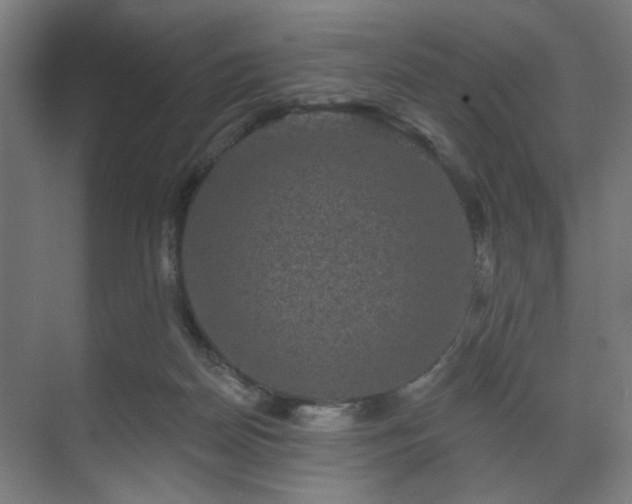 X0000070860170200606191326