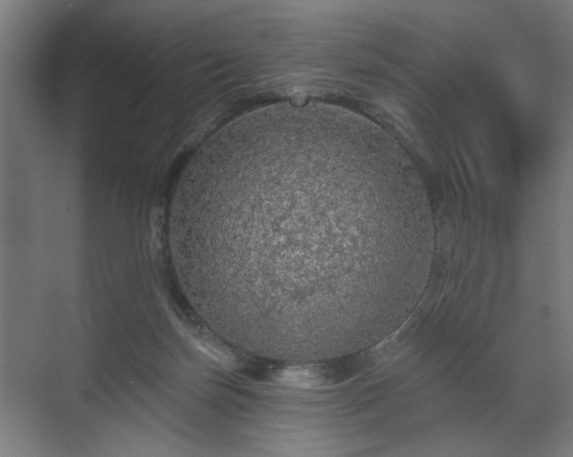 X0000070860171200606191326