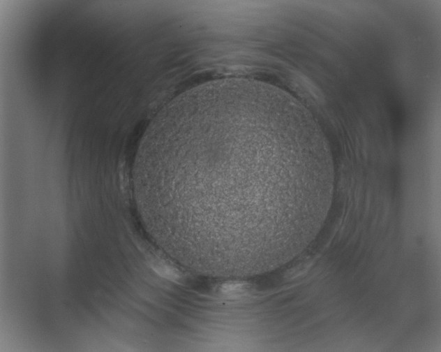 X0000070860173200606191326