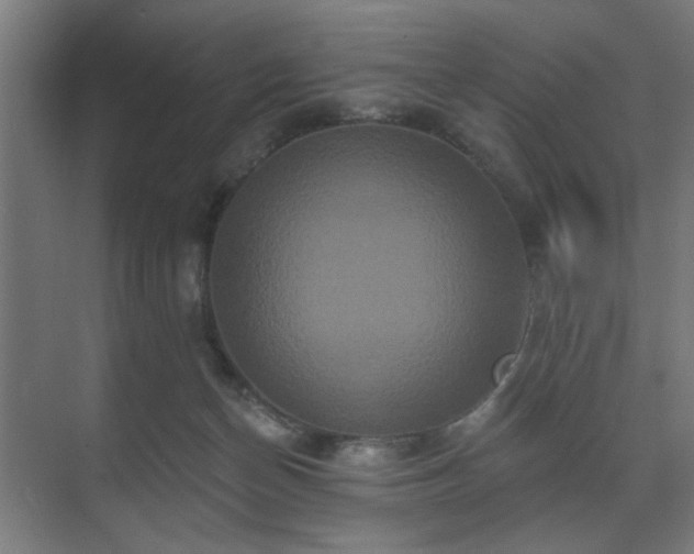 X0000070860174200606191326