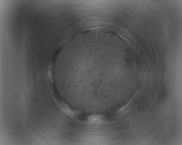 X0000070860175200606191326