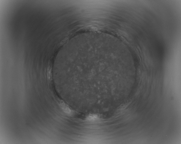 X0000070860177200606191326