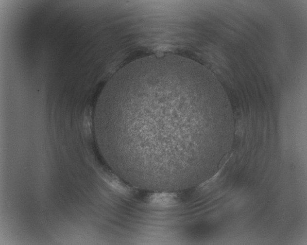 X0000070860179200606191326