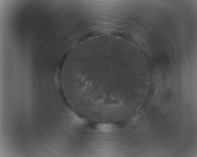 X0000070860181200606191326