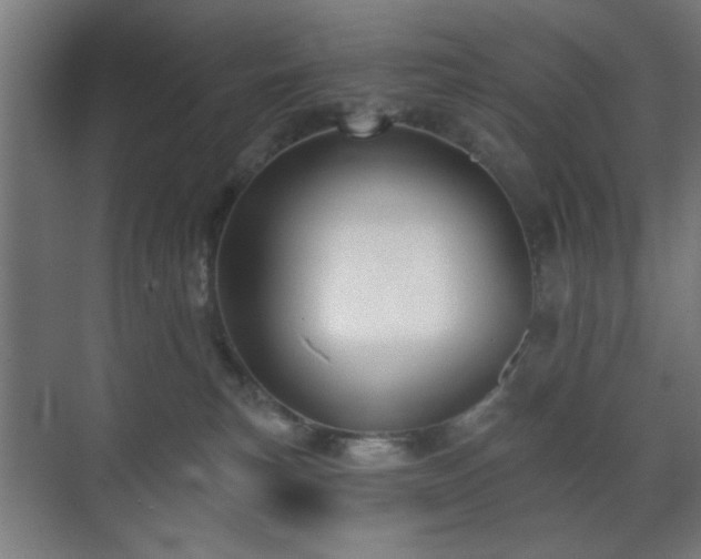 X0000070860183200606191326