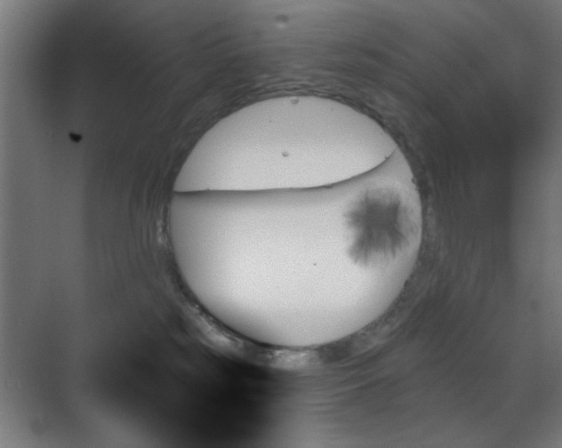 X0000070860185200606191326