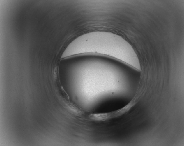 X0000070860188200606191326