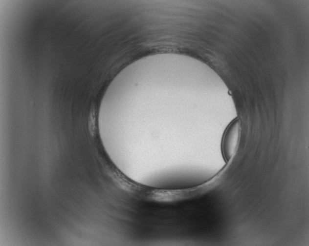 X0000070860190200606191326