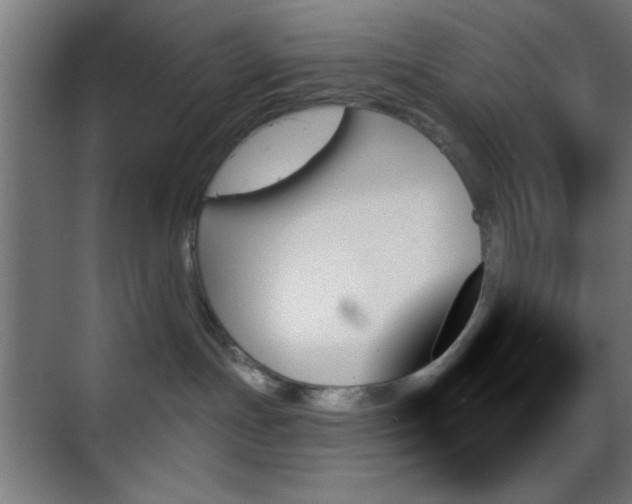 X0000070860191200606191326