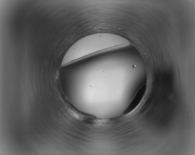 X0000070860192200606191326