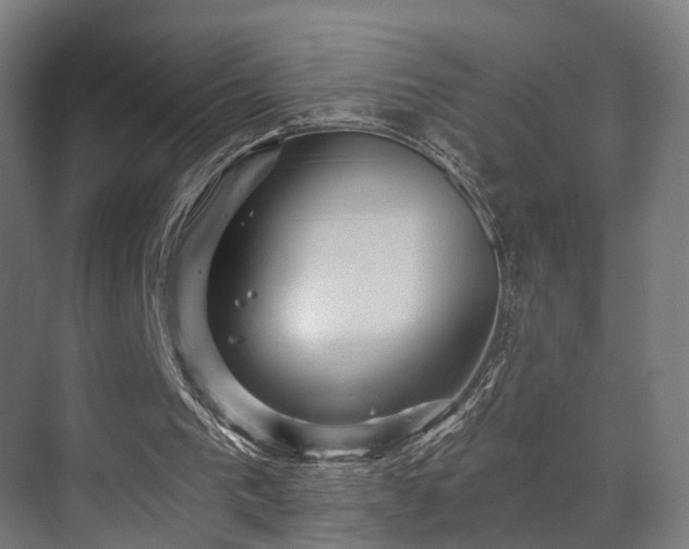 X0000070860193200606191325