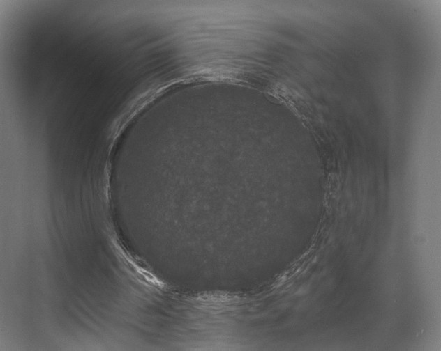 X0000070860194200606191325