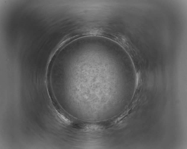 X0000070860195200606191325