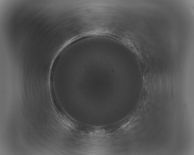 X0000070860196200606191325