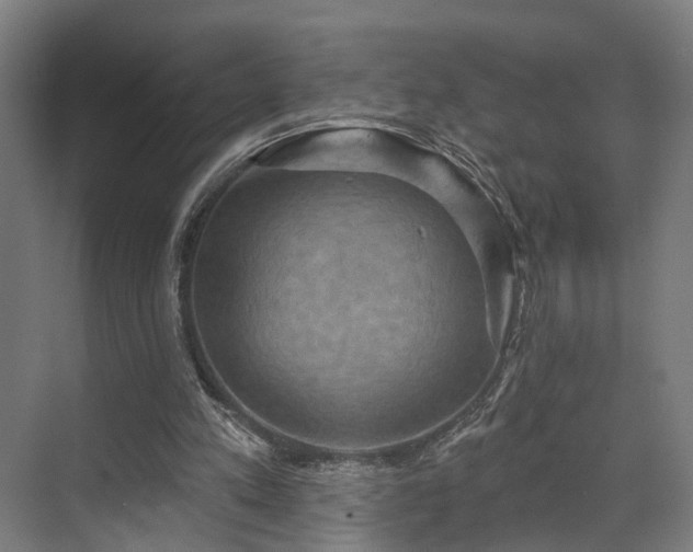 X0000070860197200606191325