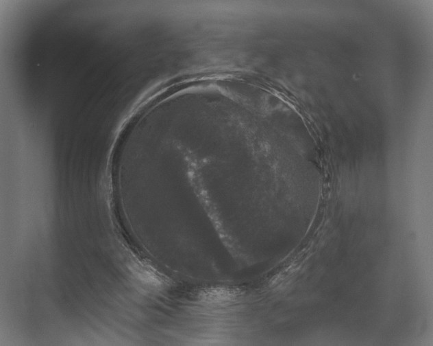 X0000070860198200606191325