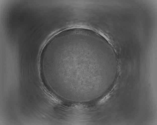 X0000070860199200606191325