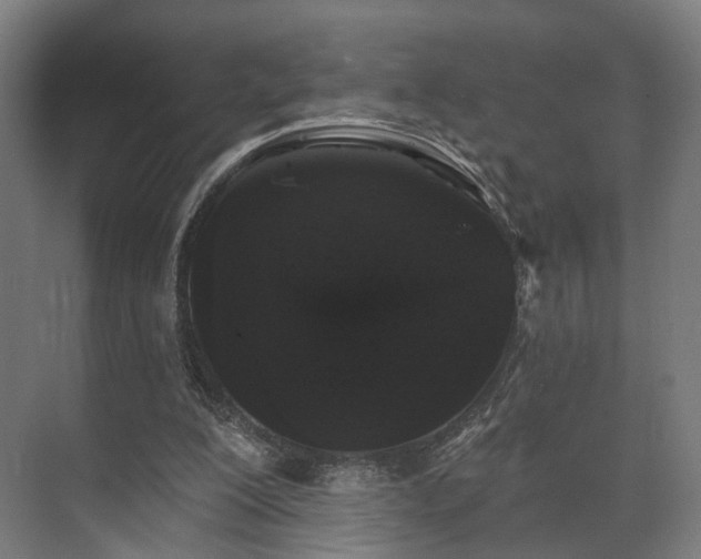 X0000070860200200606191325