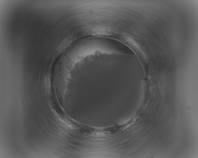 X0000070860202200606191325