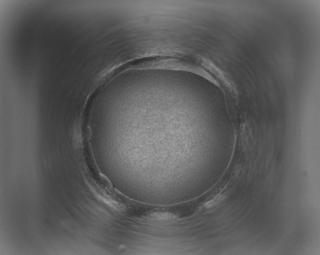 X0000070860203200606191325