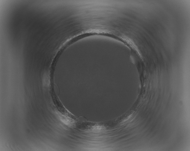 X0000070860204200606191325