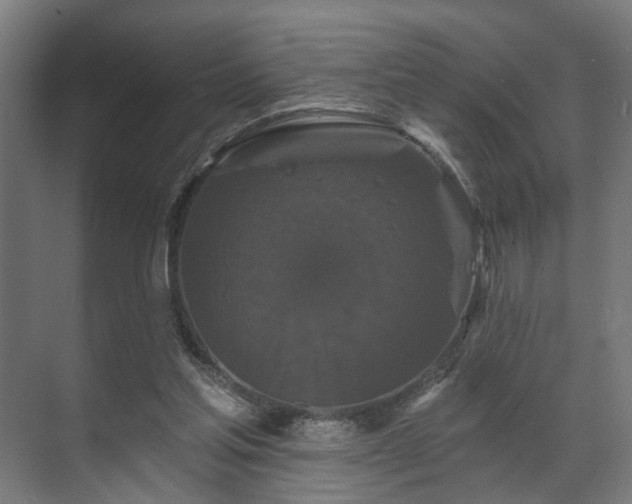 X0000070860205200606191325